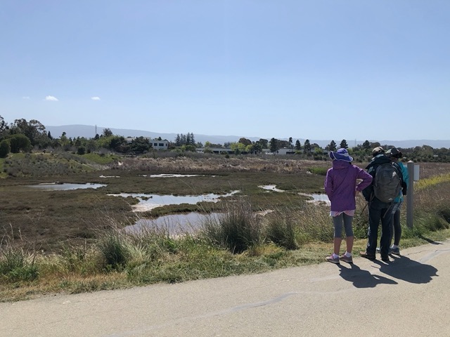 Checking out more birds