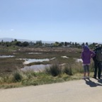 IMG_9049.jpeg