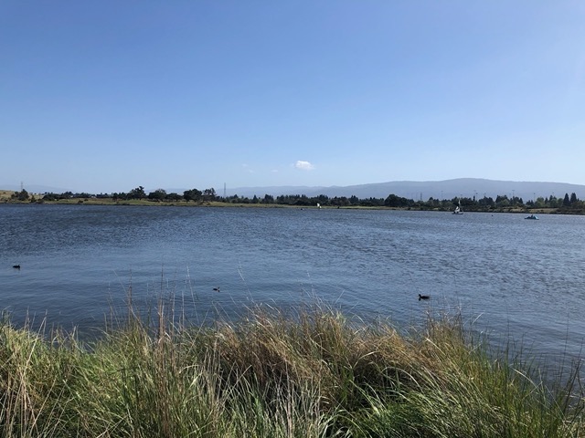 We watch the windsurfers
