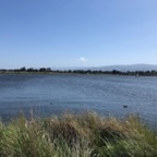 IMG_9052.jpeg