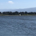 IMG_9053.jpeg