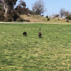 IMG_9055.jpeg