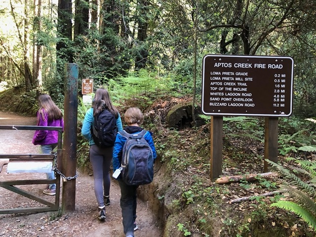 We're hitting the trail at about 9 am