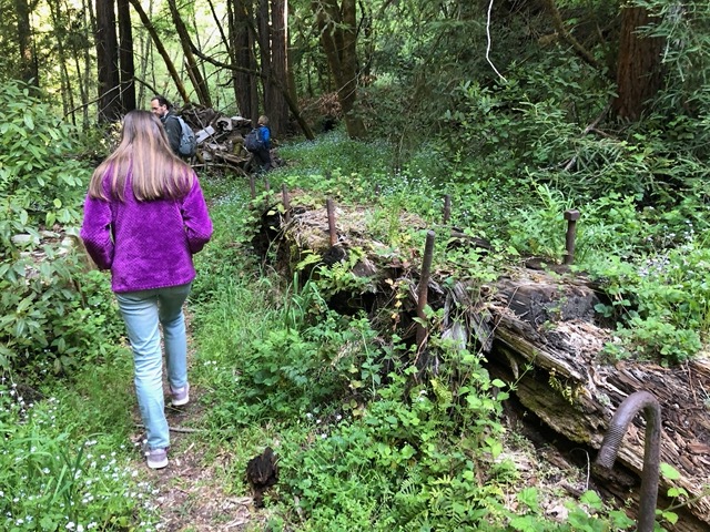 The old foundation of the sawmill