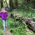IMG_9069.jpeg