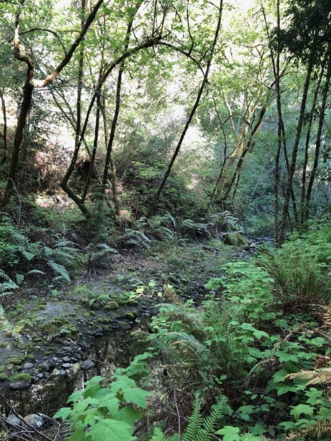 The flat spot where it was located