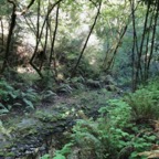 IMG_9071.jpeg
