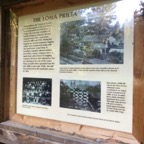 IMG_9073.jpeg