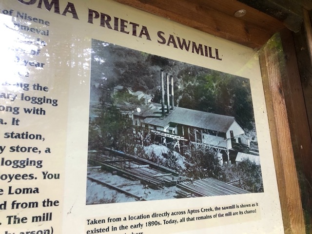 And a picture of the mill in its heyday