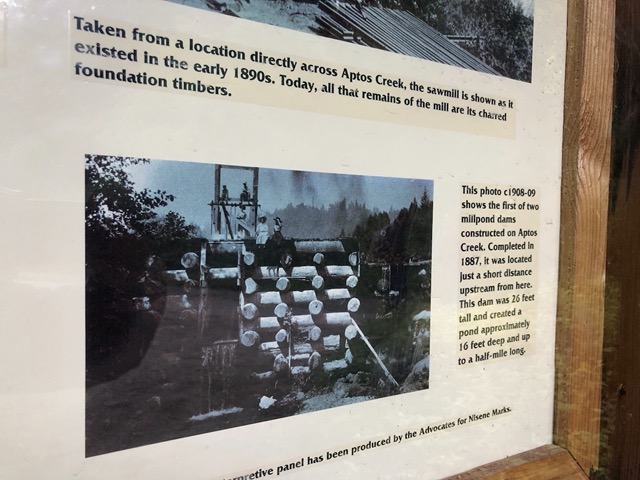 A dam on the creek