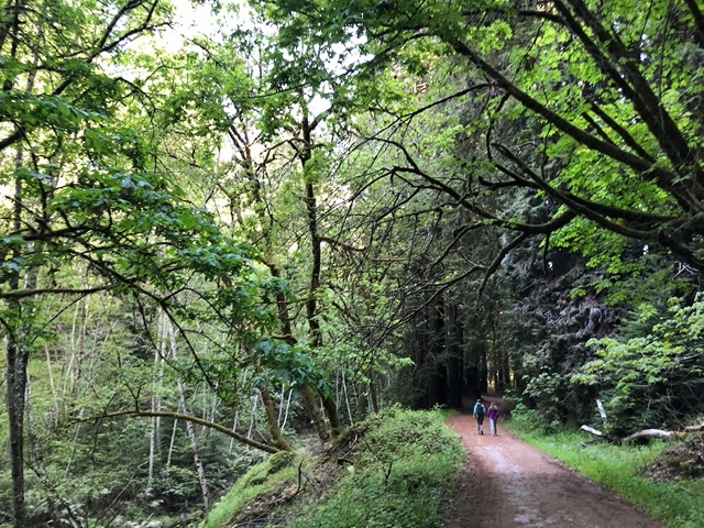 We continue on with our hike.  It's a gorgeous trail