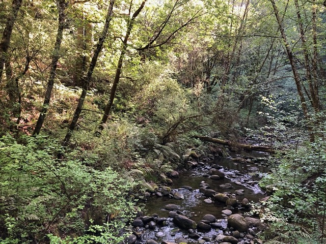 View of the creek