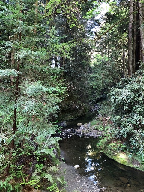 Another view
