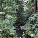 IMG_9080.jpeg