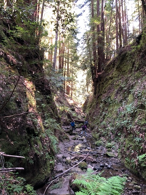 The last part involves a scramble along the creek itself