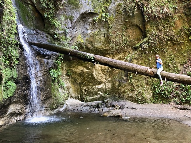 The girls shimmy up the log