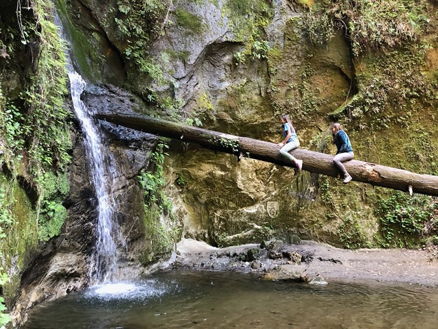 They get pretty high up.  We have a picnic by the waterfall.