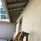 IMG_9118.jpeg
