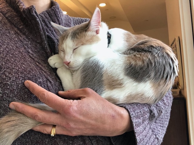 ...as I carry her around