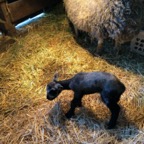 IMG_9192.jpeg