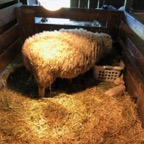 IMG_9193.jpeg