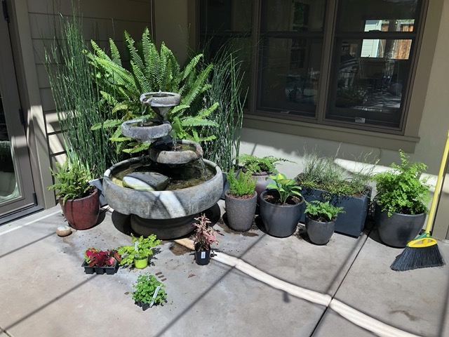 After trying out configurations, I made my decisions and planted