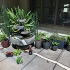IMG_9214.jpeg