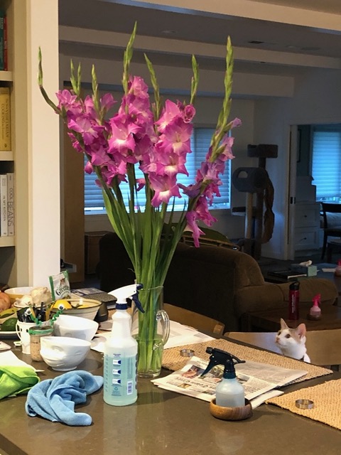 The cats were really, really drawn to these flowers