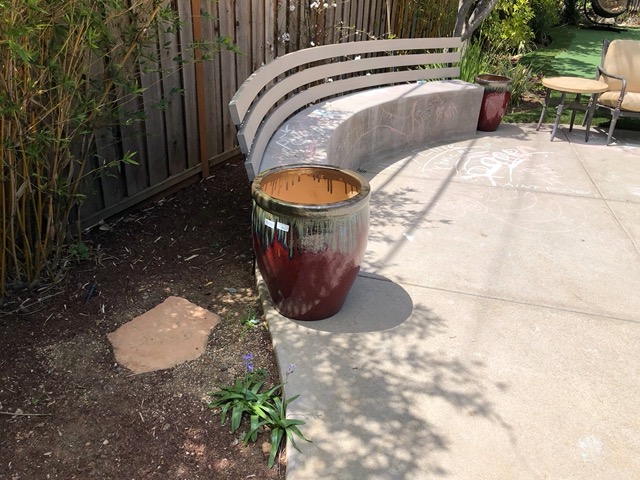 Trying out pots on the concrete area