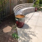 IMG_9300.jpeg