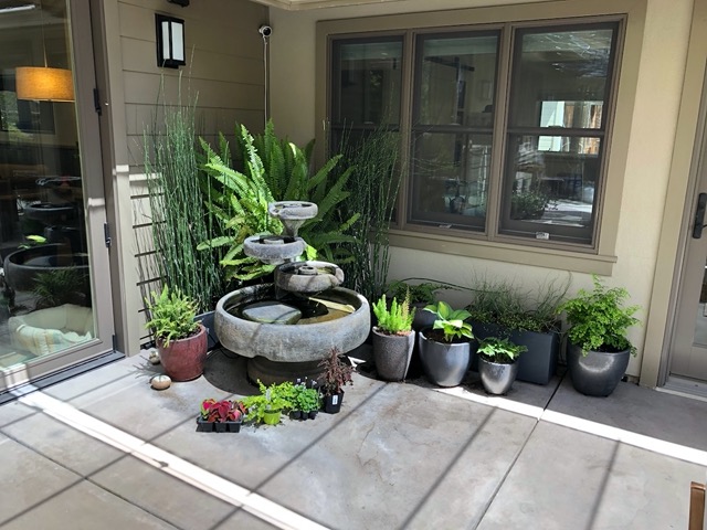 More plants to plant.  I start them out here in the indirect sun