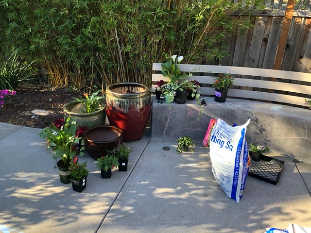 Putting plants in my planters