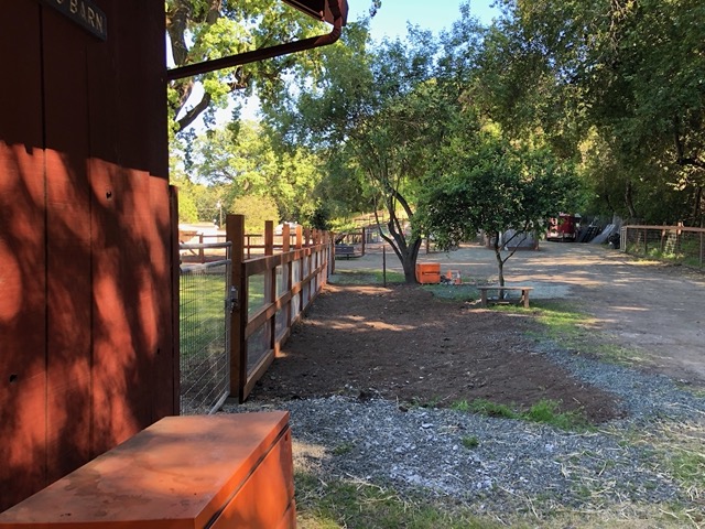 New fence around the sheep pasture