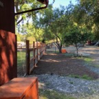 IMG_9374.jpeg