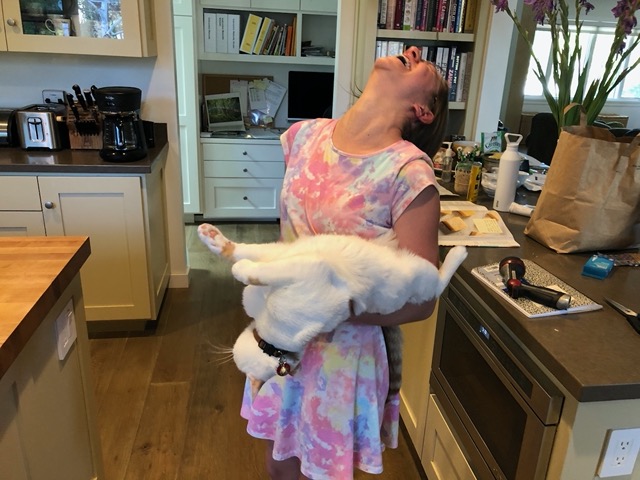 Very relaxed cat