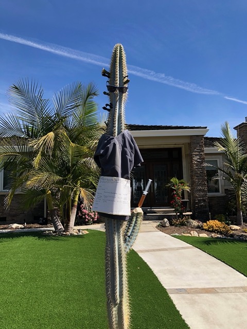 A neighbor dressed up a cactus...