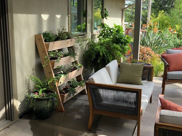There will be a few pink accents, from the coleus and the mini fuscia