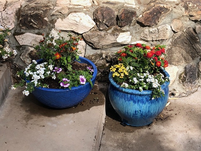 Pots on the stairs.  I went for bright blue pots and warm colored flowers