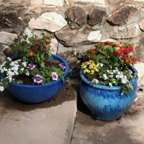 IMG_9411.jpeg