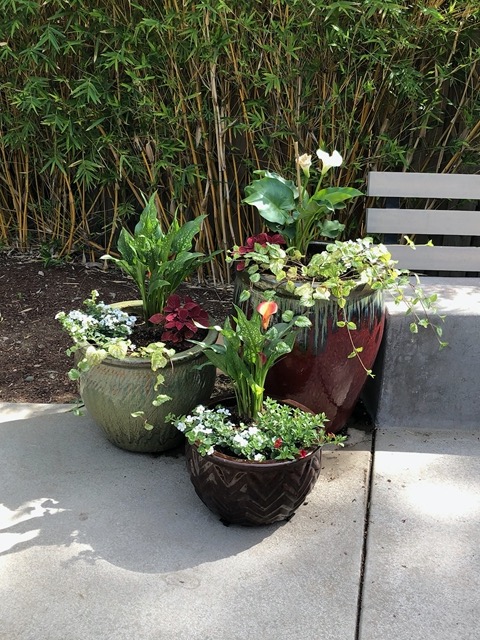 My left hand pots.  Very proud of how these turned out