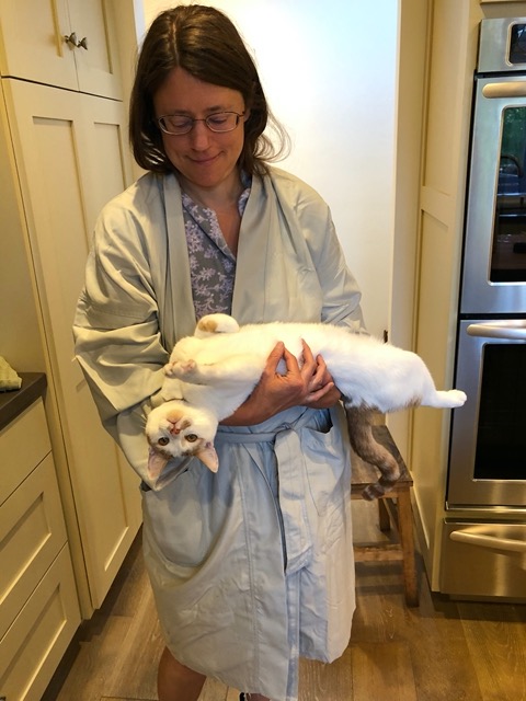 Gizmo flopped in my arms