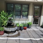 IMG_9429.jpeg