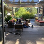 IMG_8764.jpeg