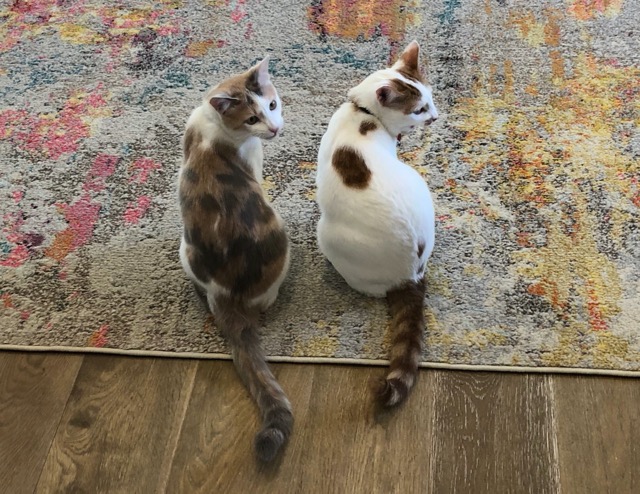 Twinsies!