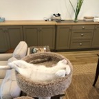 IMG_9440.jpeg