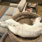 IMG_9448.jpeg