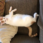 IMG_9445.jpeg