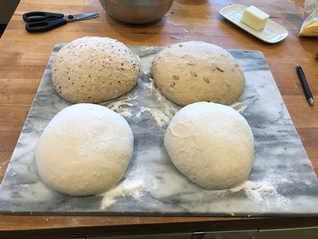Four loaves!  Two white, two whole wheat, with one sesame and one polenta pumpkinseed