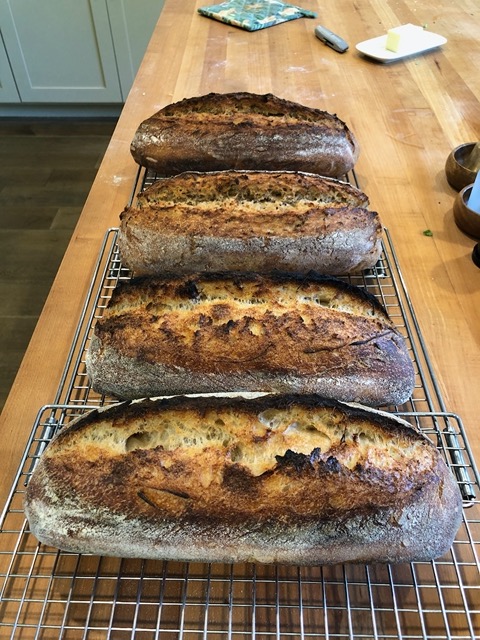 The loaves out of the oven