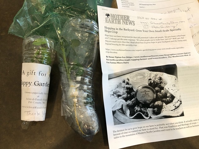 My new hops plants from Etsy!  With a free one!  Well-packaged, too